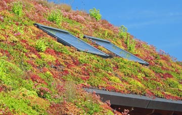 Conistone living roof systems